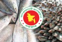 দুর্গাপূজা উপলক্ষে প্রথম চালানে ভারতে গেল ৩৭ মেট্রিক টন ইলিশ