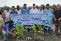 কলাপাড়ায় মাসব্যাপী বৃক্ষরোপণ কর্মসূচির উদ্বোধন