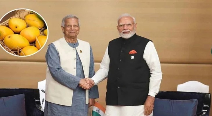 নরেন্দ্র মোদিকে আম উপহার পাঠাচ্ছেন প্রধান উপদেষ্টা