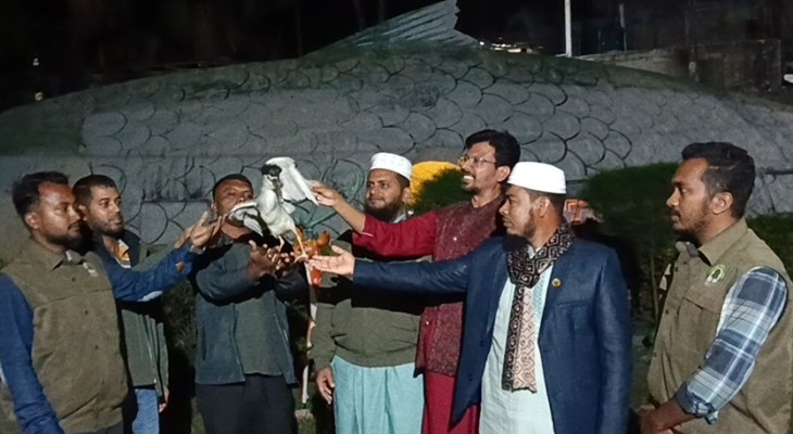 মুরগির দোকান থেকে উদ্ধার হওয়া নিশি বক অবমুক্ত