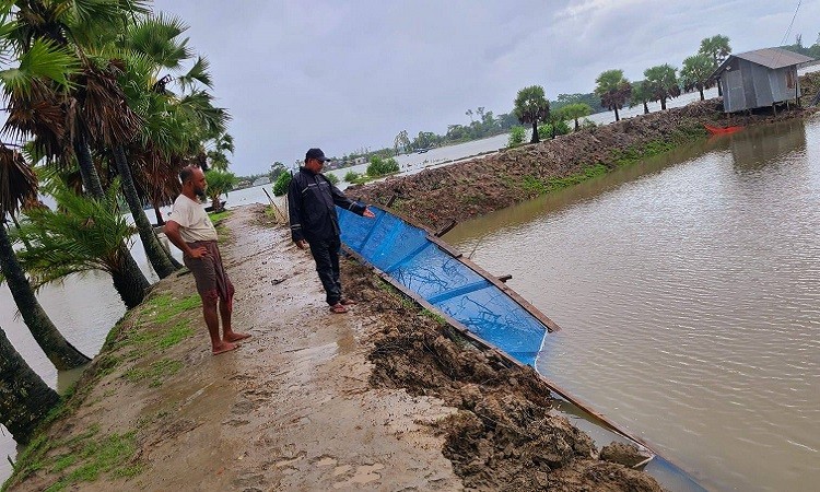নিম্নচাপের তাণ্ডবে ক্ষয়ক্ষতির পরিদর্শন করলেন যুবদলের যুগ্ন আহবায়ক হুমায়ুন কবির জুয়েল শিকদার
