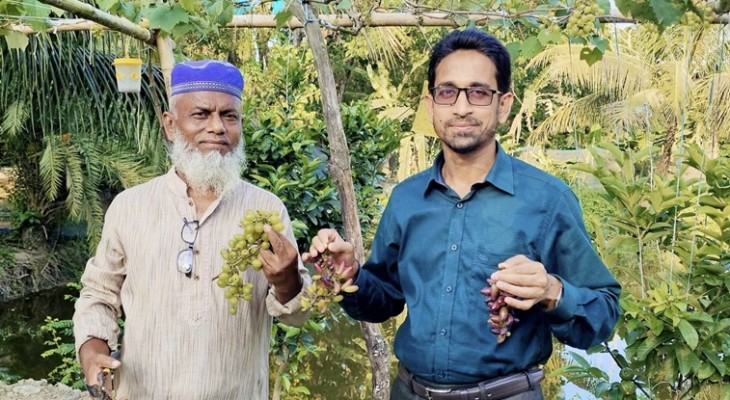দশমিনায় ইউটিউব দেখে আঙ্গুর চাষে সফলতা দেখছেন কাওসার