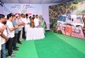 ফেনীর তিন উপজেলায় দেশের প্রথম সৌরবিদ্যুৎ প্রকল্প উদ্বোধন